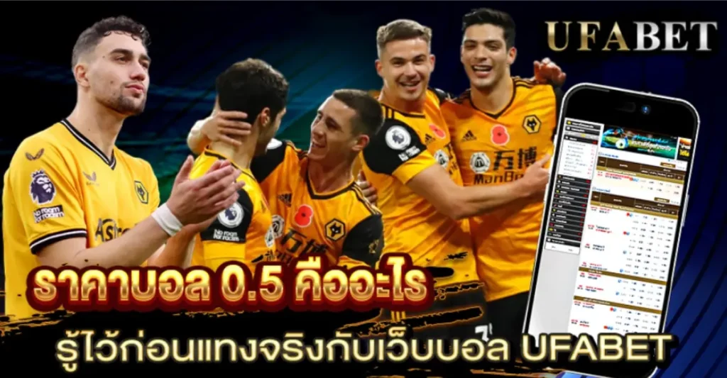 ราคาบอล 0.5 คืออะไร