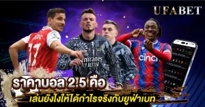 ราคาบอล 2.5 คือ