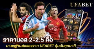 ราคาบอล 2-2.5 คือ